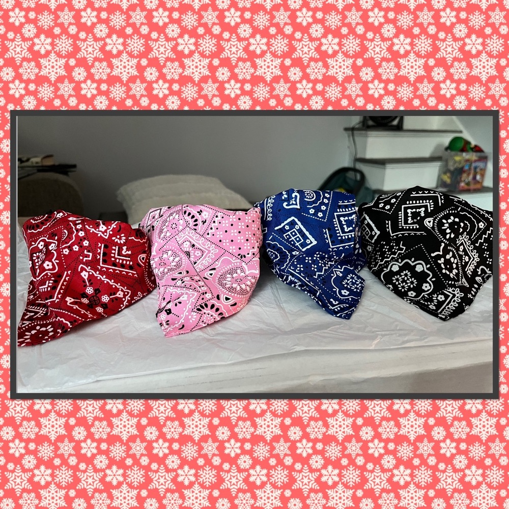 🐶NWOT -  Bandana Dog Collar (9” to 22”)